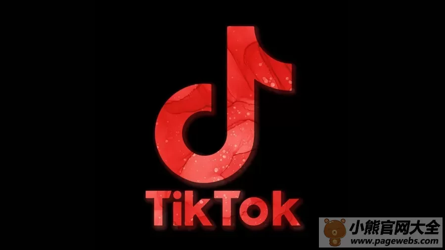 TikTok网页版入口（官网注册登录教程）