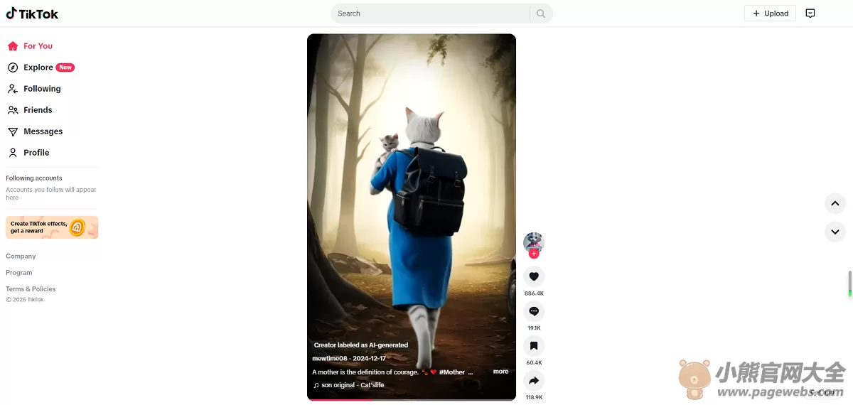 TikTok网页版入口（官网注册登录教程）